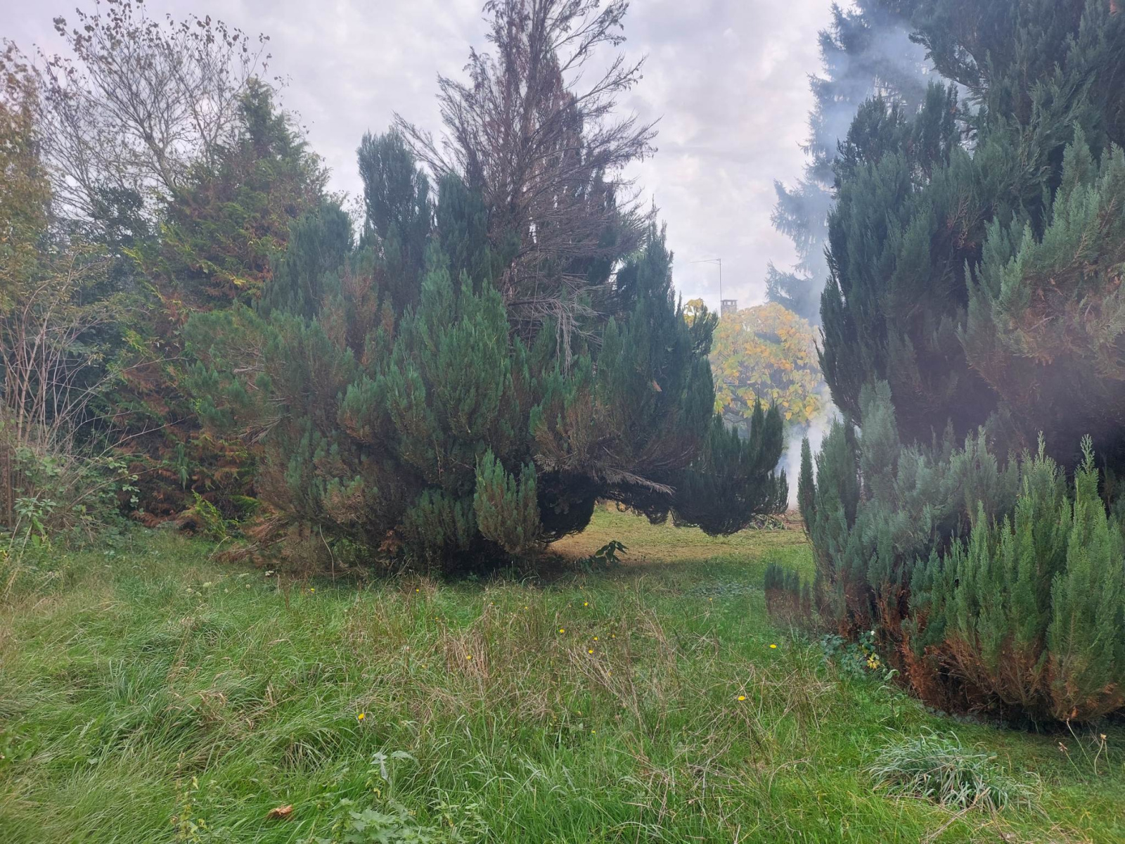 Image_, Maison de village, Belvès, ref :B136
