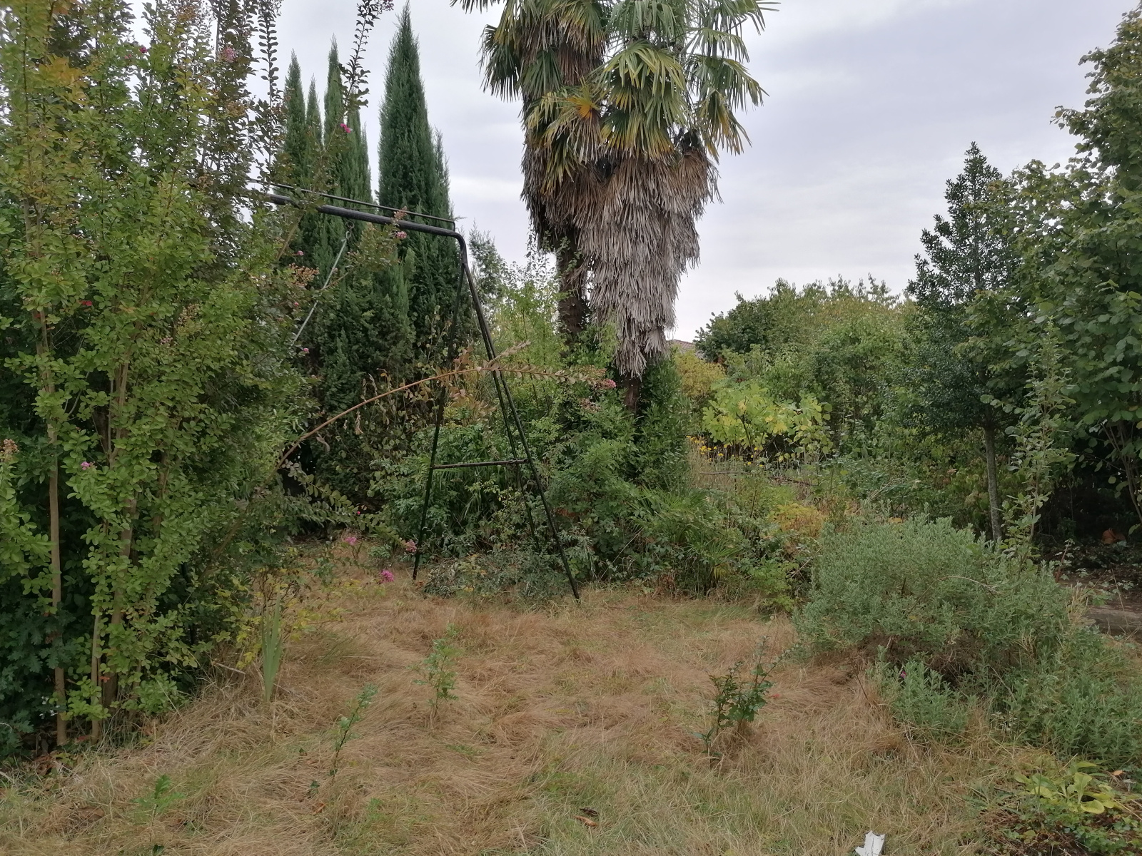 Image_, Maison, Montayral, ref :B111B