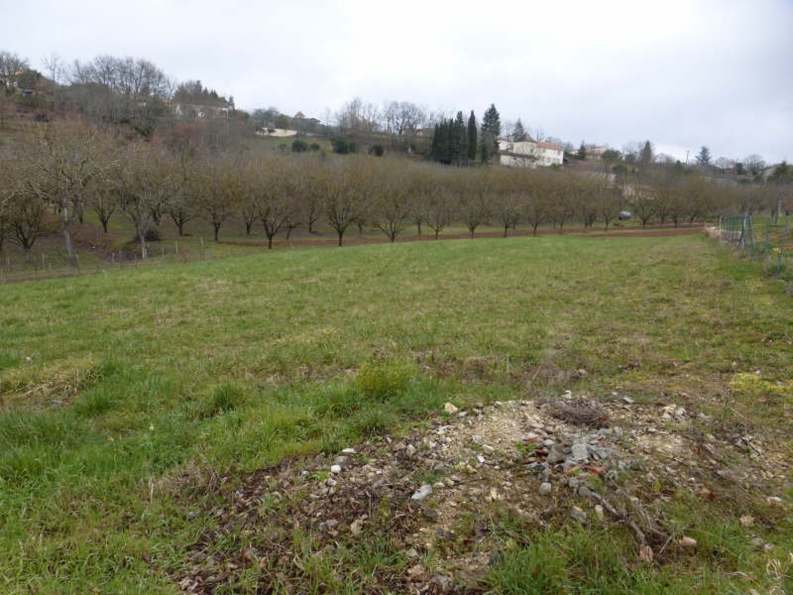 Image_, Terrain, Puy-l'Évêque, ref :P581A