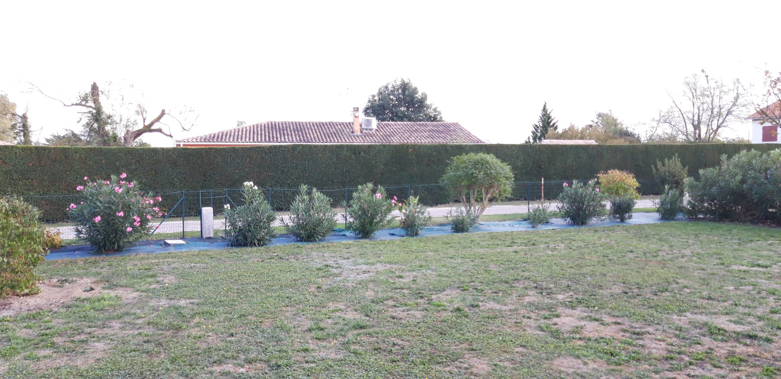 Image_, Maison, Villeneuve-sur-Lot, ref :5287