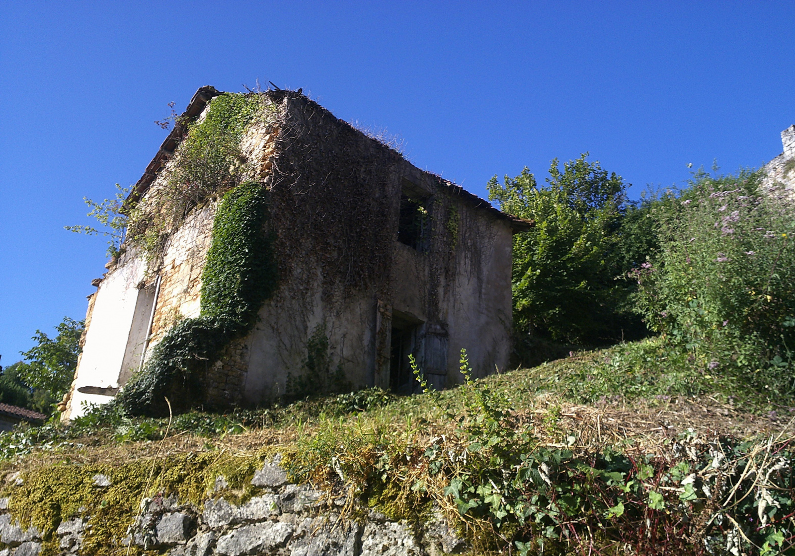 Image_, Terrain Ã  batir, Blanquefort-sur-Briolance, ref :5286