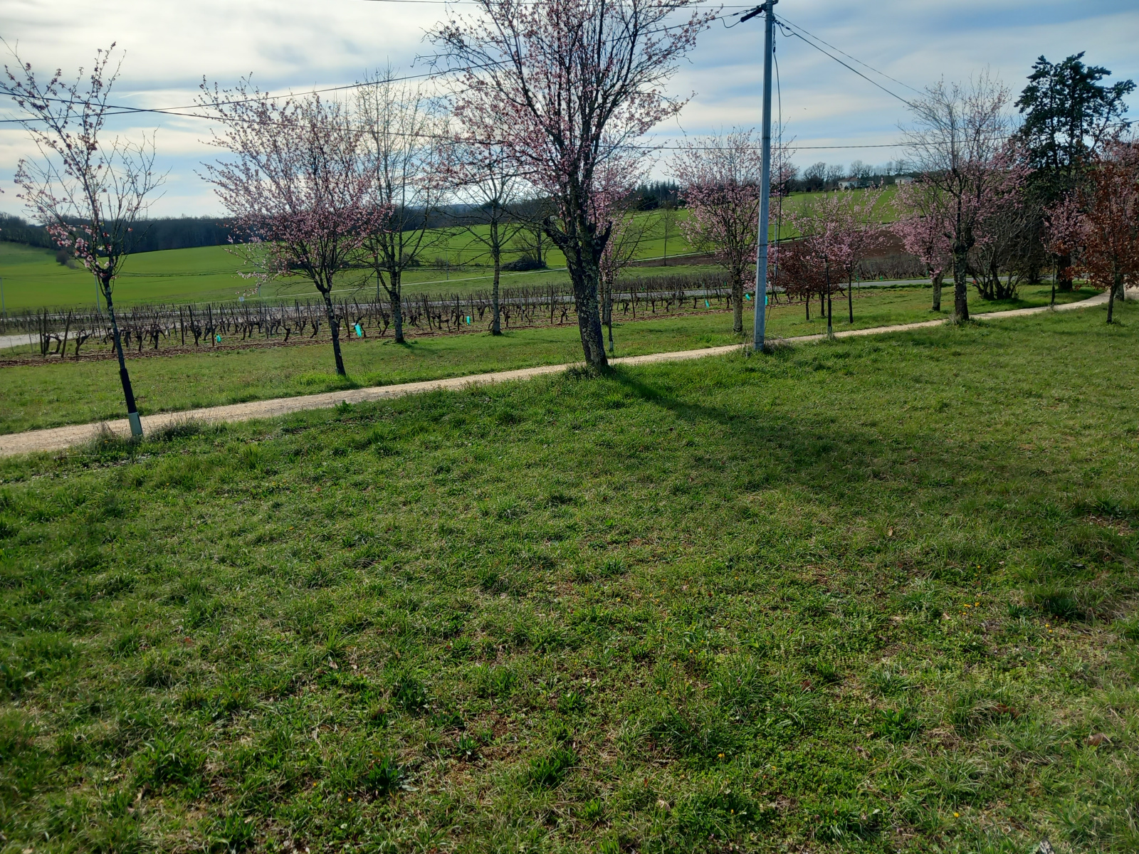 Image_, Maison, Tournon-d'Agenais, ref :5441